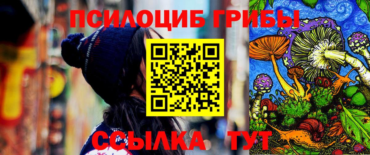 Псилоцибиновые грибы прущие грибы Ивантеевка