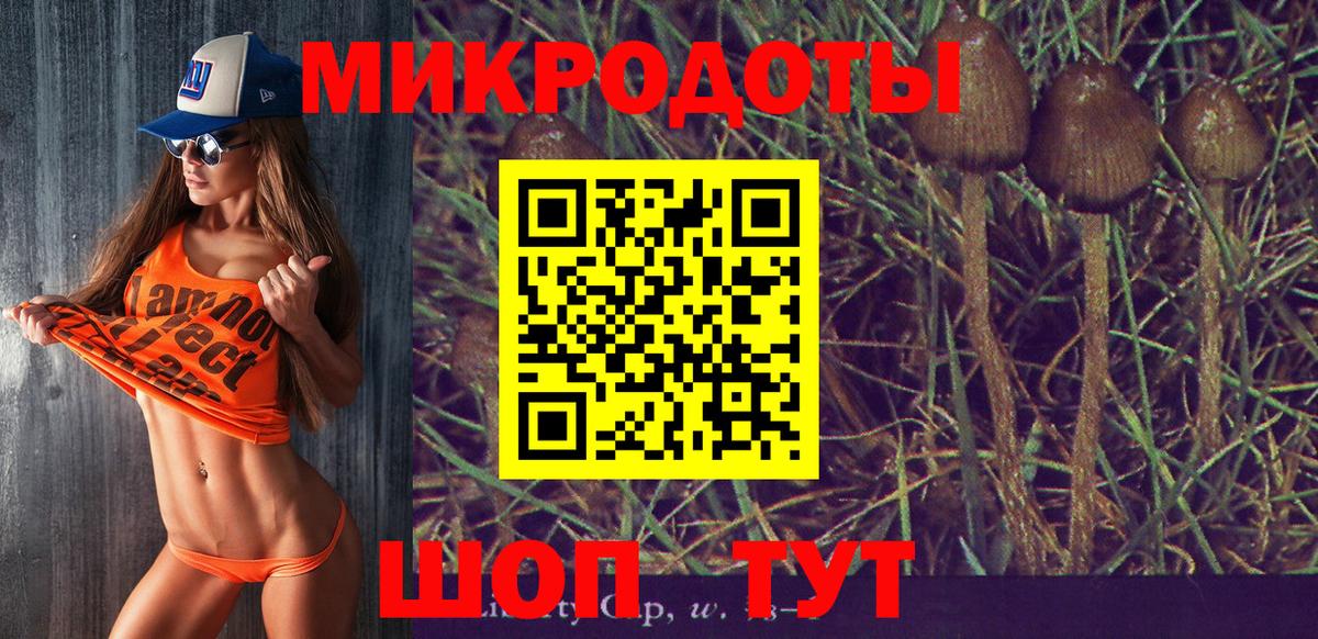 Галлюциногенные грибы Magic Shrooms  Вход с VPN  Ивантеевка  Галлюциногенные грибы ЛСД 